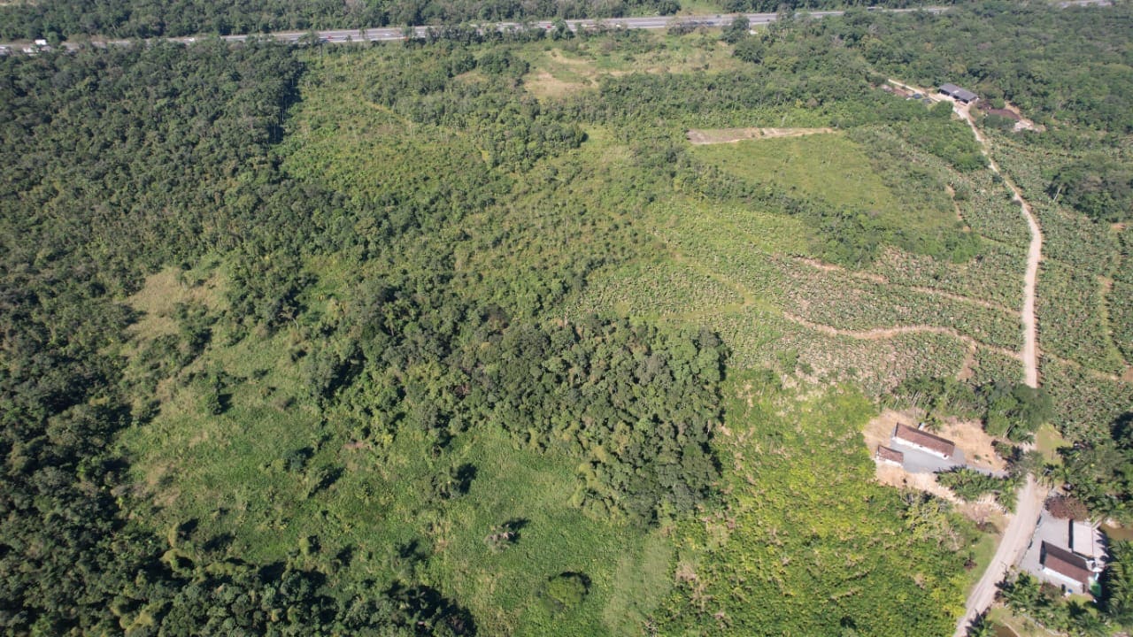 Terreno Divisa - foto 2