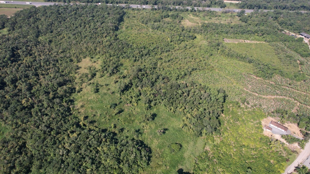 Terreno Divisa - foto 3