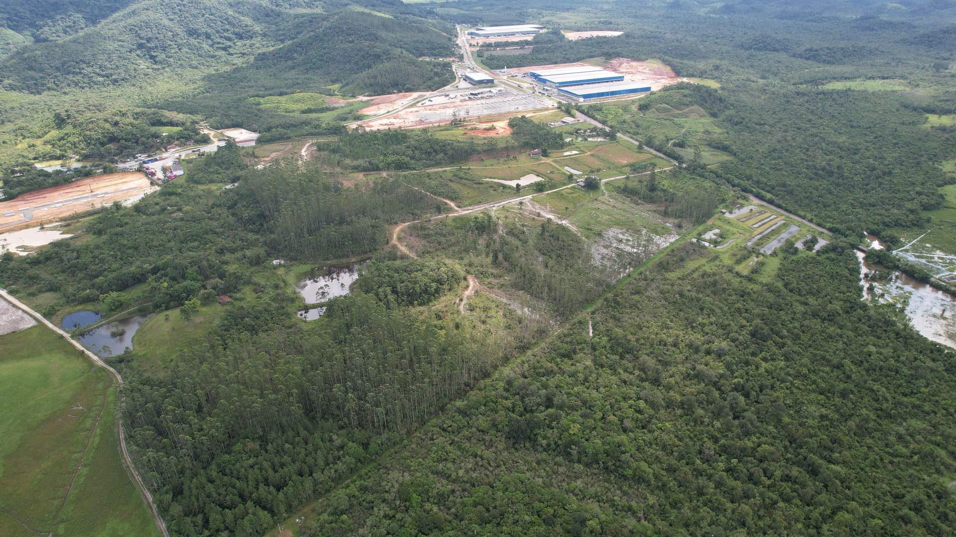 Terreno Fiorese - foto 6